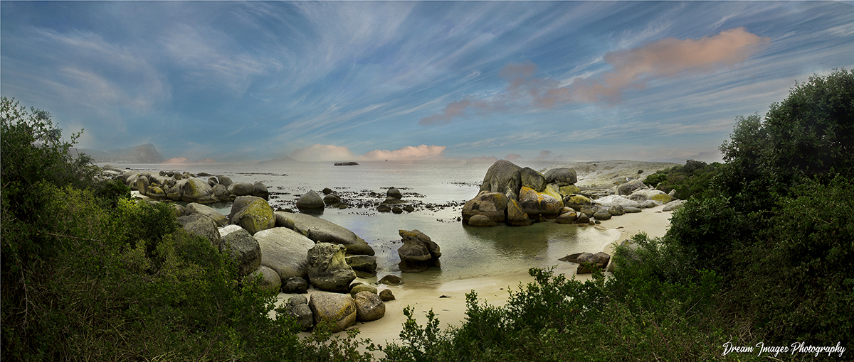 Landscape 20
